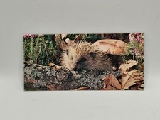 Nestlé MERVEILLES DU MONDE