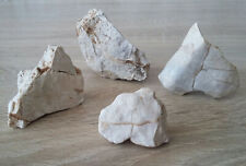 LOT 4 PIERRES ❤️ FORMES ROCHER BLANC STRATES + AGGLOMÉRATS NATUREL BRUT AQUARIUM