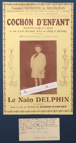 Nain delphin artiste - delphin,