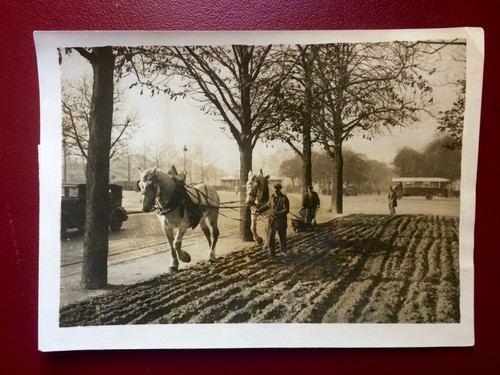 Photo presse 1931 - presse, labour
