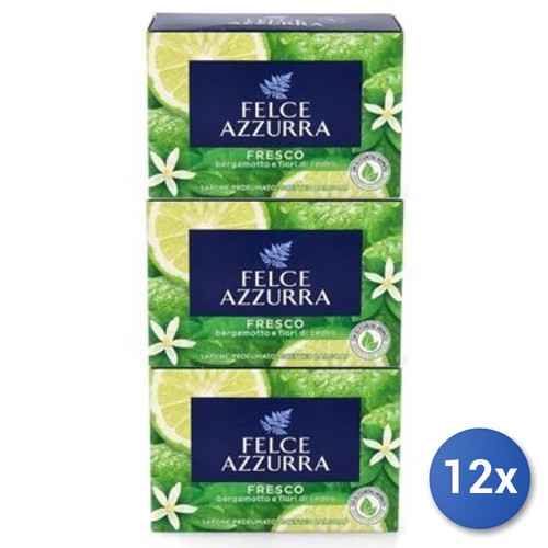 12x ensemble felce azzurra - felce,
