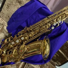 YANAGISAWA prima 900 Alto