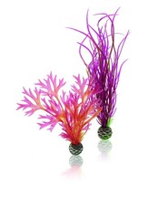 Jeu de plantes M en rouge et
