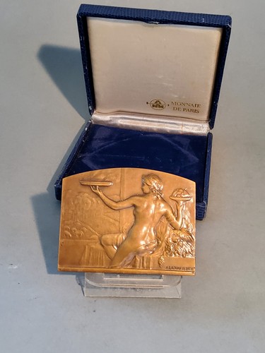 Medaille plaque femme - medaille, aux