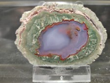 CRIS 37N OLD STOCK DEMIE