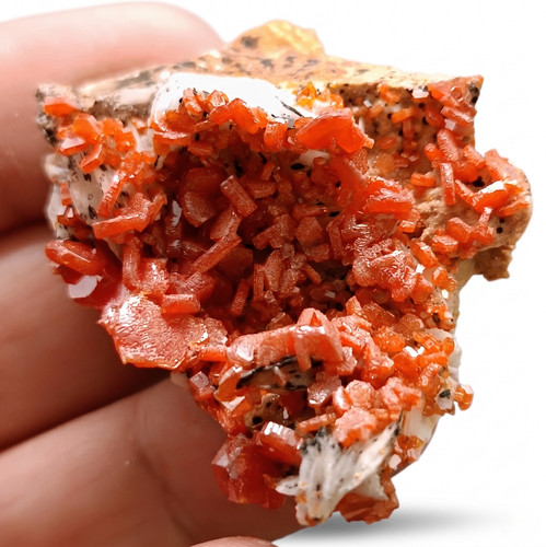 Vanadinite maroc mibladen - 27,