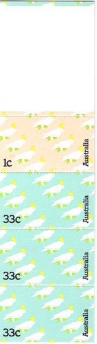 Australie oiseaux perroquet - oiseaux,