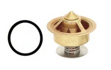 Thermostat Ensemble 170°