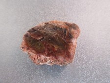 Madagascar Petrified Wood