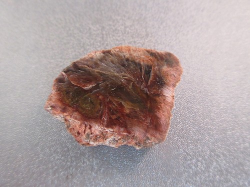 Madagascar petrified wood - madagascar,