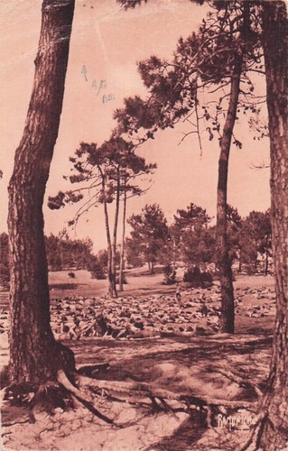 Ile oleron maison - ile,