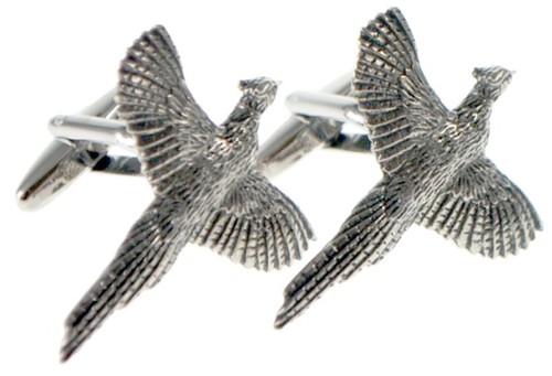 Faisan oiseau vol chasse - faisan,