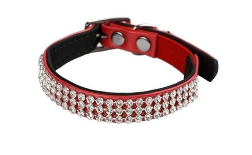 Collier pour chat rouge diam - collier,