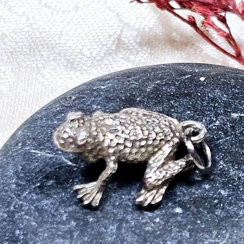 Grenouille argent 925 - argent,