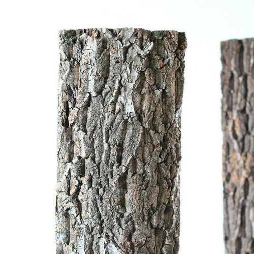 Pièce fond décorative - décorative, en