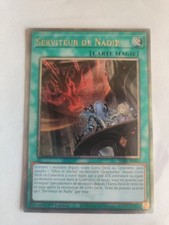 Yu-Gi-Oh Serviteur De Nadir