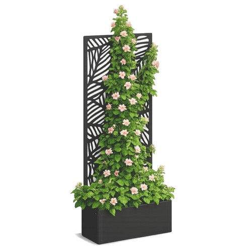 Mica decorations sapri support - mica,