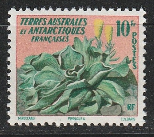 Taaf 1958 11 flore - taaf,
