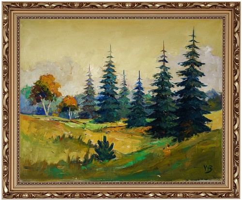 Nature paysage forêt - paysage,