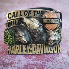 Rare Ceinture Et Boucle