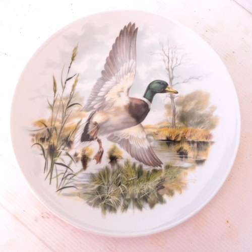 Assiette canard porcelaine - assiette,