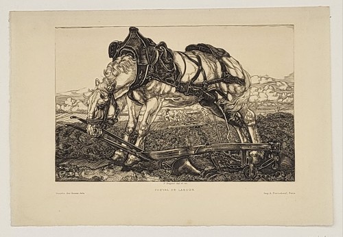 Pieter dupont - dupont,