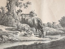 Abreuvoir GRAVURE Jacques