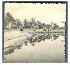 Algeria, Temacine, Lac Sacré