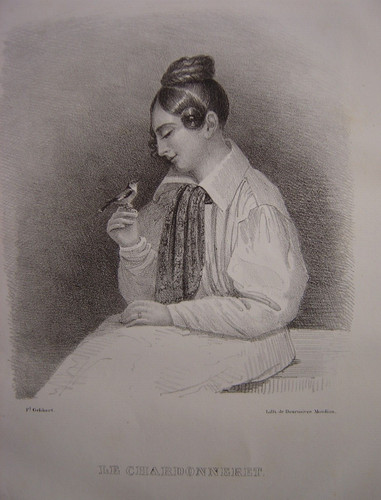 Lithographie chardonneret - lithographie, le