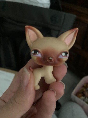 Authentic littlest pet shop - authentic,