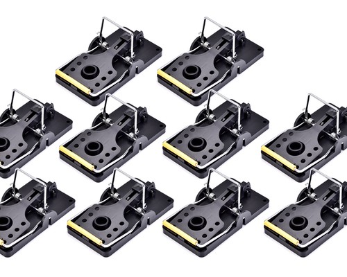 10x souris traps piège à - traps,