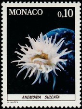 MONACO N° 1254 "FAUNE DE LA MEDITERRANEE, ANEMONA SULCATA 10 C"NEUF xxTTB