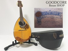 Mandoline Raffaele Calace 1969 Vintage Made in Italy