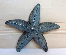 Etoile de Mer Murale en