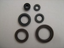 45941006260 Série Paraoli Fantic Section, K-Roo 125-250 Trial 0