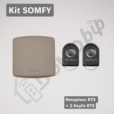 Kit somfy rts keygo - somfy,