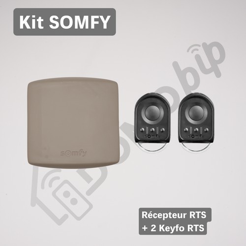 Kit somfy rts - 2, keygo