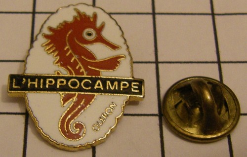 Pin hippocampe seahorse - pin's,