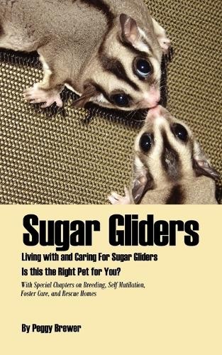 Peggy brewer sugar gliders - peggy,