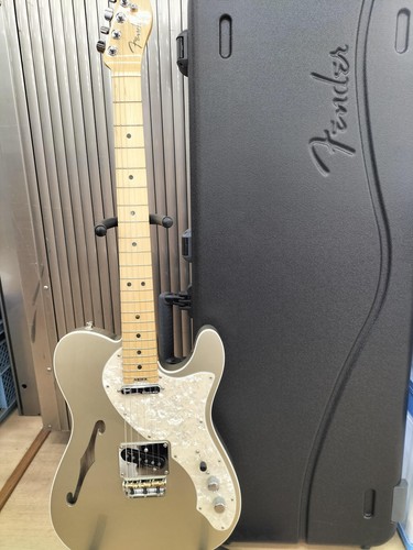 Guitare électrique fender - fender, am