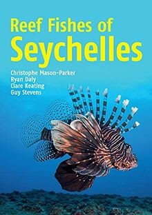 Reef fishes seychelles - fishes,