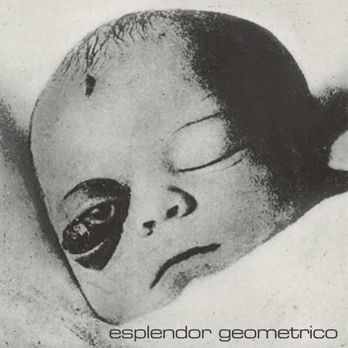 Esplendor geométrico necrosis - esplendor,