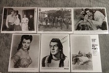 Chief Crazy Horse Victor