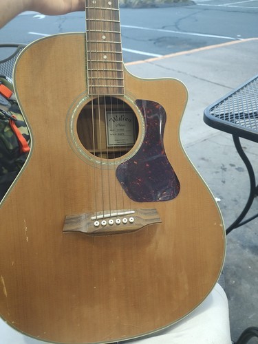 Walden g630ce natura acoustic - walden,