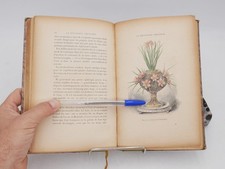 La Botanique Amusante (1897, eo) F. FAIDEAU - Plantes, jardin, ...  59 Gravures