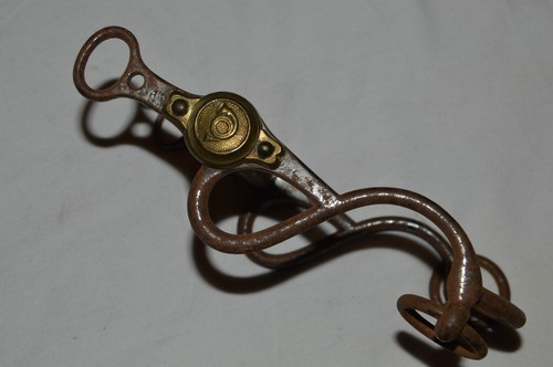 Mors cheval un officier - d'un,