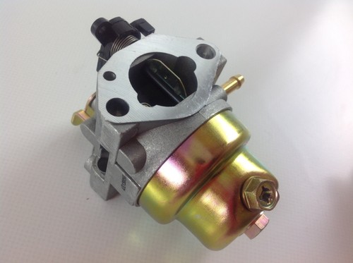 Carburateur moteur tondeuse - moteur,