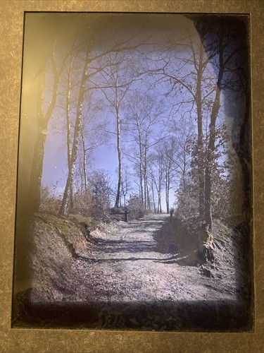 Grand autochrome 16 cm - autochrome, x