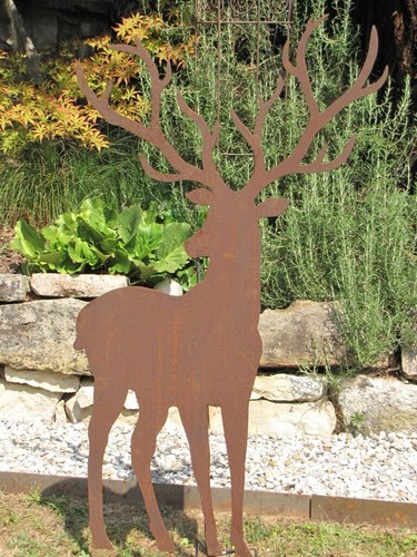 Cerf rouille noble avec - en,
