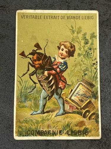 Chromo liebig s91 rare carte - s91,